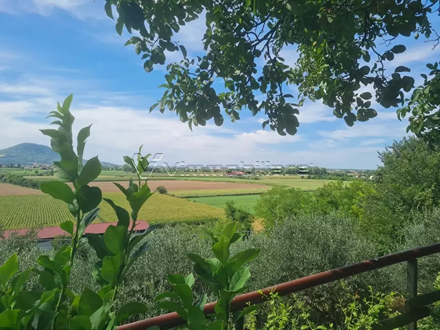 Immagine 9 di Casa indipendente in vendita  in Via San Vito 79 a Albettone