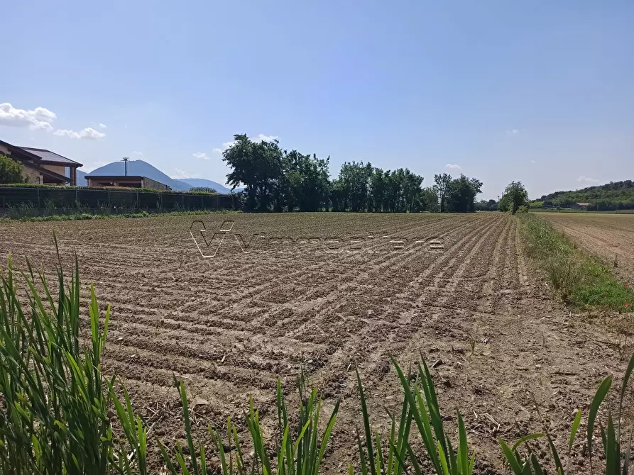 Immagine 3 di Terreno agricolo in vendita  in Via Buse a Barbarano Mossano