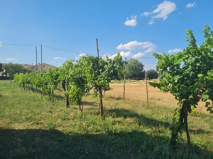 Immagine 10 di Rustico / casale in vendita  in via caselle 43 a Noventa Vicentina