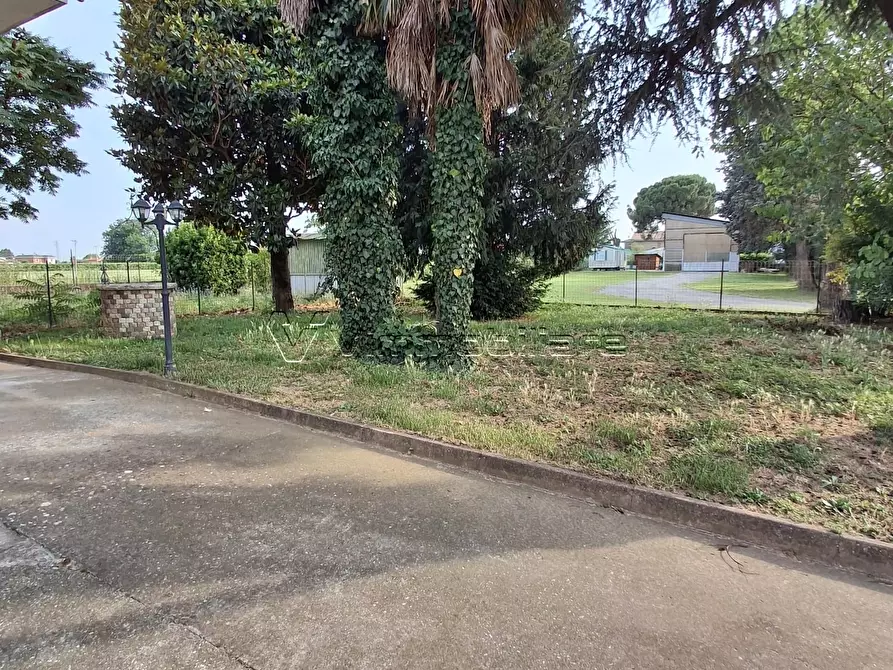 Immagine 20 di Casa bifamiliare in affitto  a Orgiano
