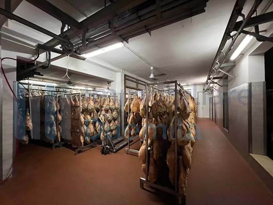 Immagine 64 di Attività artigianale in vendita  a Savignano Sul Panaro