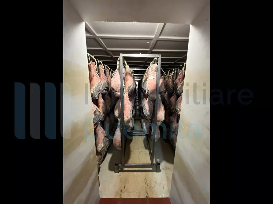 Immagine 33 di Attività artigianale in vendita  a Savignano Sul Panaro