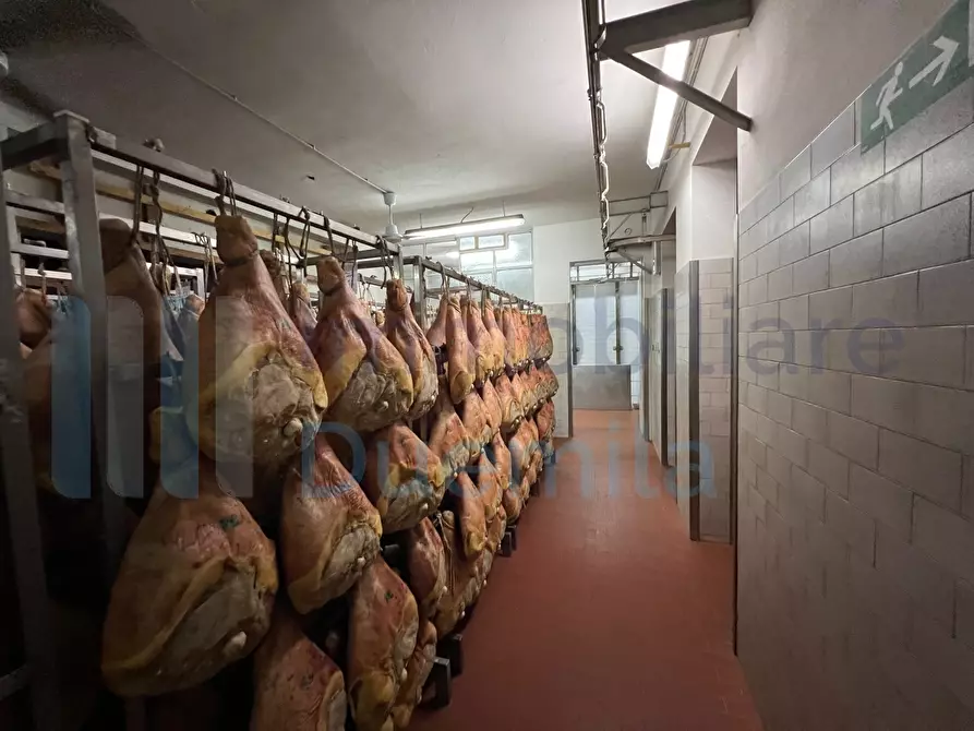 Immagine 22 di Attività artigianale in vendita  a Savignano Sul Panaro