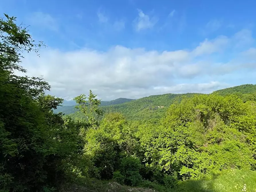 Immagine 10 di Rustico / casale in vendita  in San Bartolomeo del Bosco a Savona