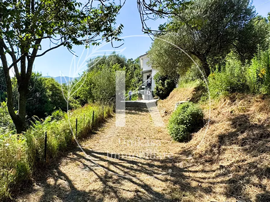Immagine 18 di Casa indipendente in vendita  in Località Mezzano 22 a Stella