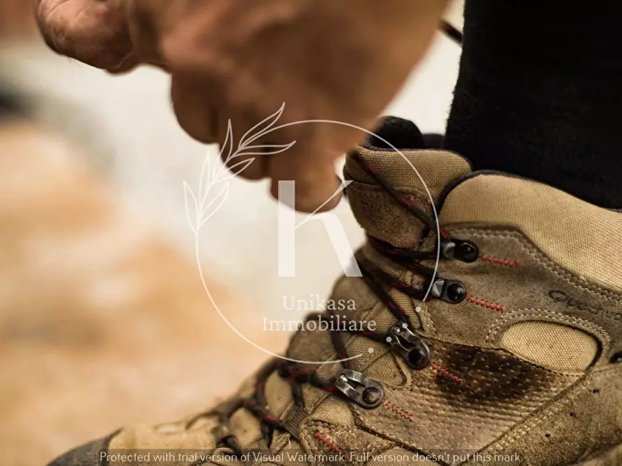 Immagine 14 di Agriturismo in vendita  in Orco Feglino a Orco Feglino