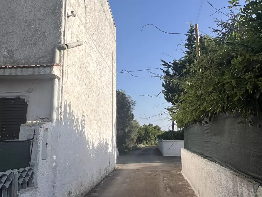 Immagine 4 di Rustico / casale in vendita  in Strada Provinciale 14 4 a Ostuni