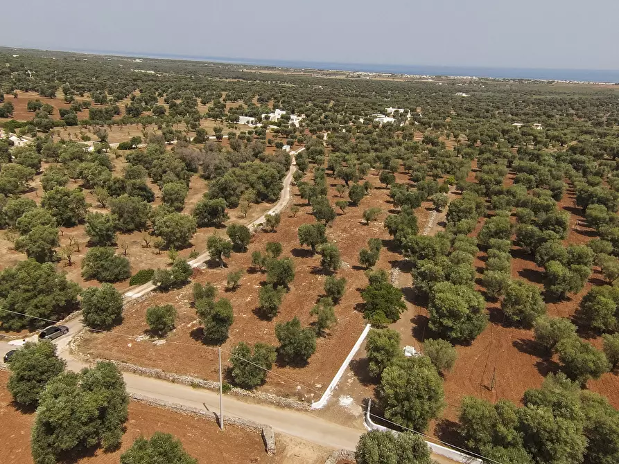 Immagine 3 di Terreno edificabile in vendita  in Contrada Specchia a Carovigno