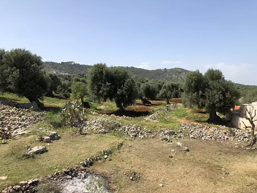 Immagine 11 di Casa indipendente in vendita  in Contrada Malandrino a Ostuni