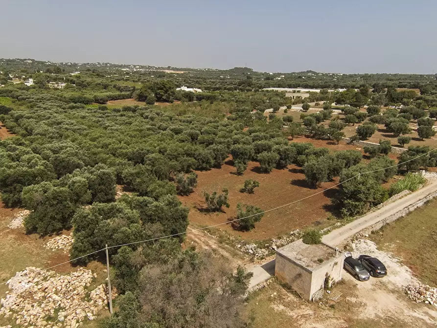 Immagine 3 di Terreno edificabile in vendita  in Contrada Santo ScaloneSANTO SCALONE snc a Ostuni