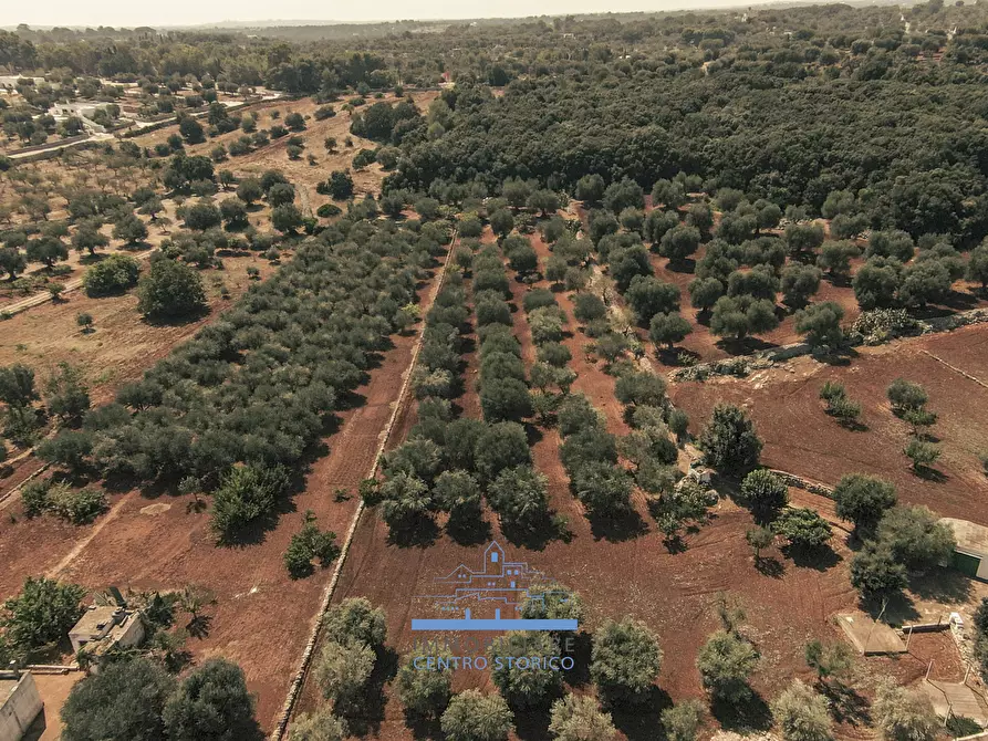 Immagine 47 di Villa in vendita  in CONTRADA VALLEGNA SNC a Ostuni