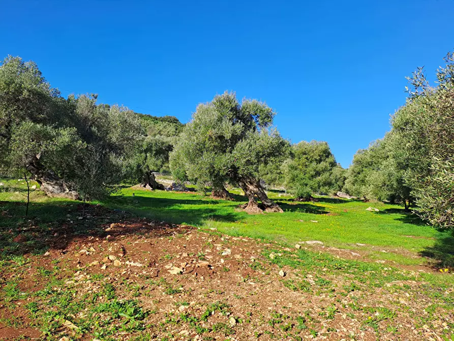 Immagine 29 di Casa indipendente in vendita  in Corso Giuseppe Mazzini a Ostuni