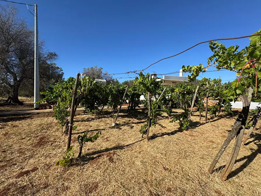 Immagine 25 di Villa in vendita  in Strada Provinciale 29 a Ceglie Messapico