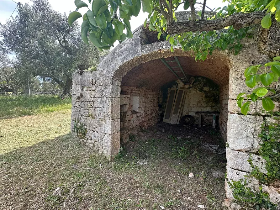 Immagine 17 di Rustico / casale in vendita  in Strada Provinciale 17 a Ostuni