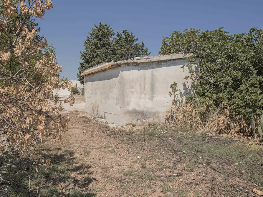 Immagine 27 di Rustico / casale in vendita  in Contrada San Francesco a Carovigno