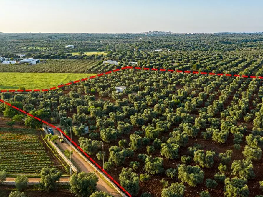 Immagine 1 di Terreno edificabile in vendita  in Contrada Correo a Carovigno