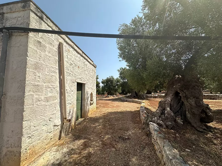 Immagine 6 di Casa indipendente in vendita  in Strada Statale 16 Adriatica a Ostuni