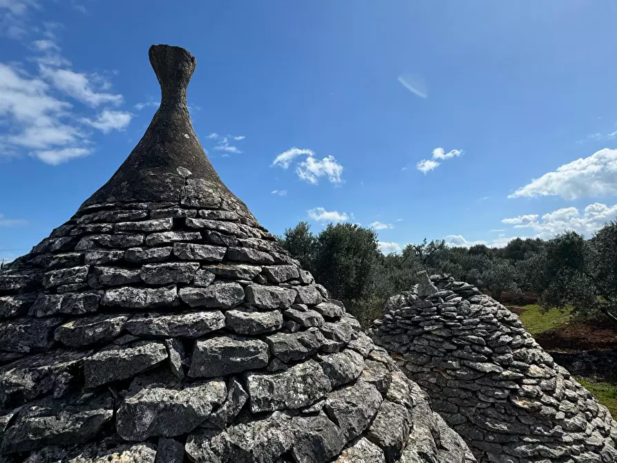 Immagine 3 di Casa indipendente in vendita  in Contrada San Giovanni a Ostuni