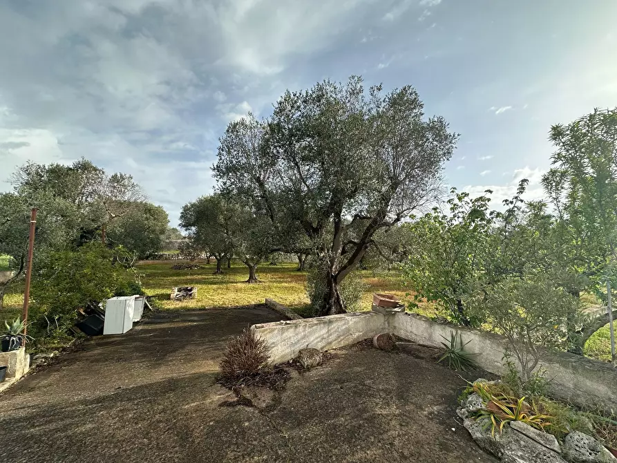 Immagine 6 di Villa in vendita  in Strada Provinciale 28 a Ostuni