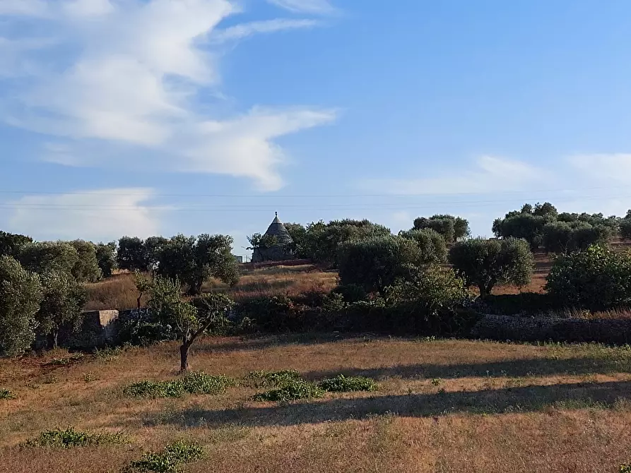 Immagine 48 di Casa indipendente in vendita  in Contrada Panza a Cisternino