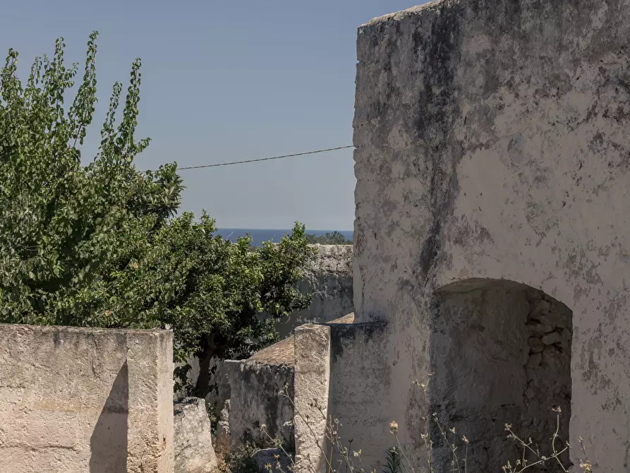 Immagine 7 di Rustico / casale in vendita  a Ostuni