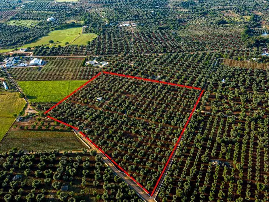 Immagine 5 di Terreno edificabile in vendita  in Contrada Correo a Carovigno