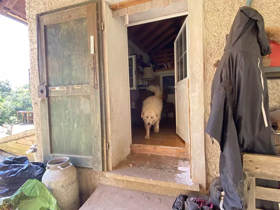 Immagine 19 di Rustico / casale in vendita  in Località Bonuzzo 22 a Sassello