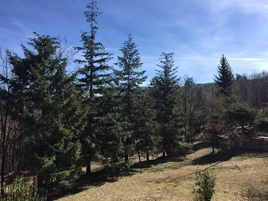 Immagine 12 di Appartamento in vendita  a Urbe