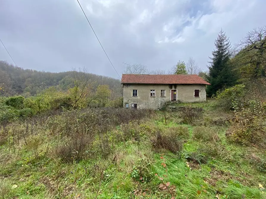 Immagine 11 di Rustico / casale in vendita  a Urbe