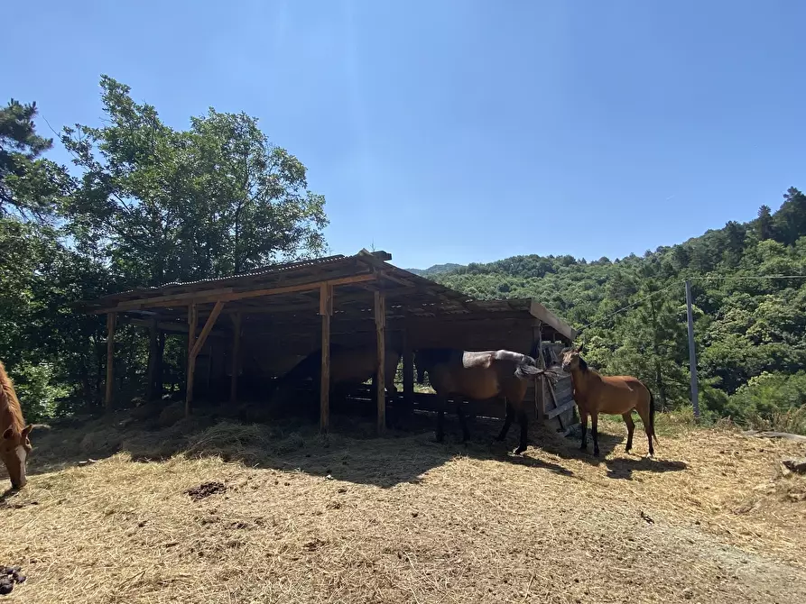 Immagine 6 di Rustico / casale in vendita  in Località Bonuzzo 22 a Sassello