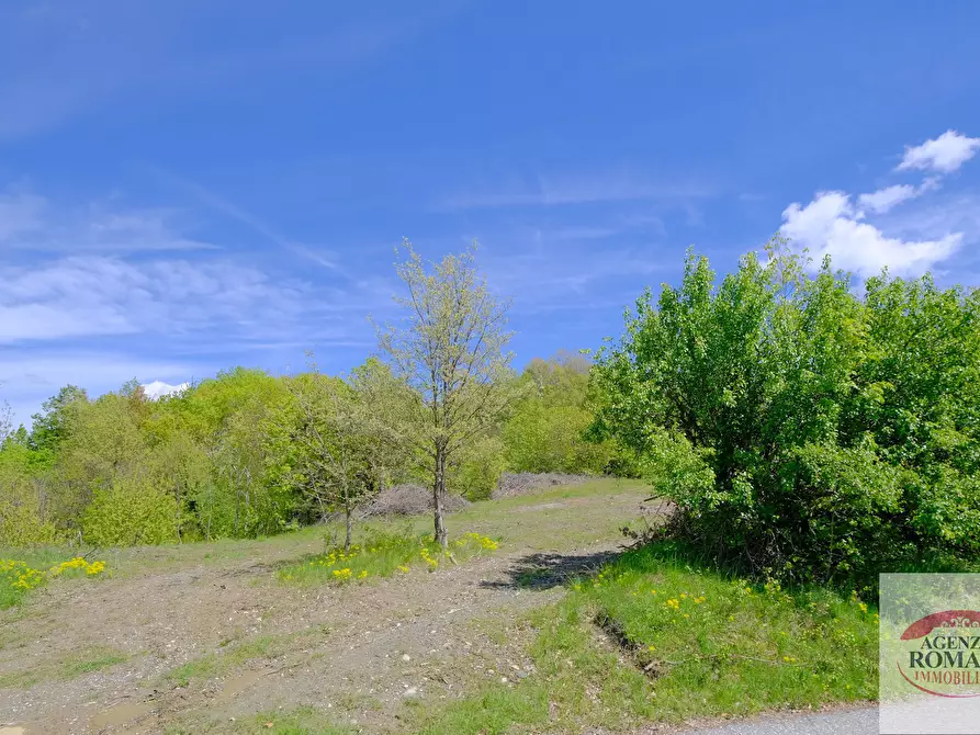 Immagine 18 di Rustico / casale in vendita  in Corso Bovio 2 a Giusvalla