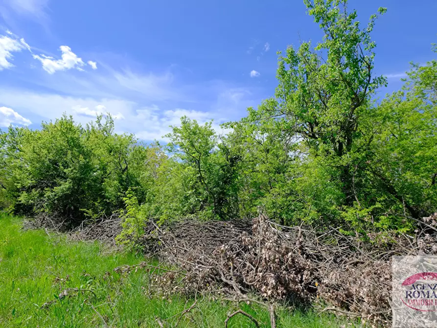 Immagine 11 di Rustico / casale in vendita  in Corso Bovio 2 a Giusvalla