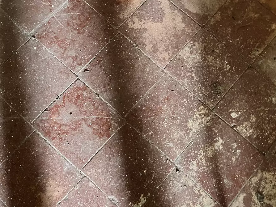 Immagine 18 di Rustico / casale in vendita  in Via al Castello 37 a Pareto