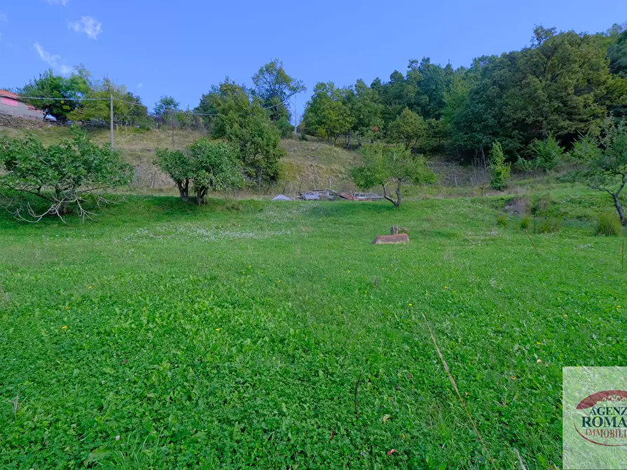 Immagine 13 di Porzione di casa in vendita  in Località Patarè 2 a Sassello