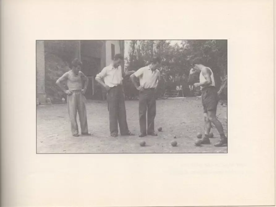 Immagine 52 di Casa indipendente in vendita  a Molare