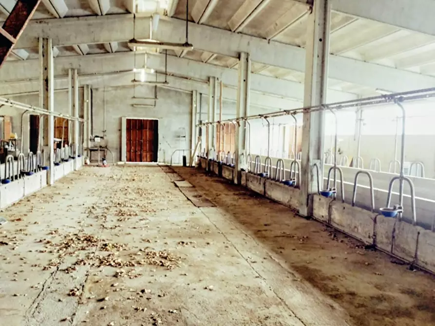 Immagine 43 di Casa indipendente in vendita  a Varazze