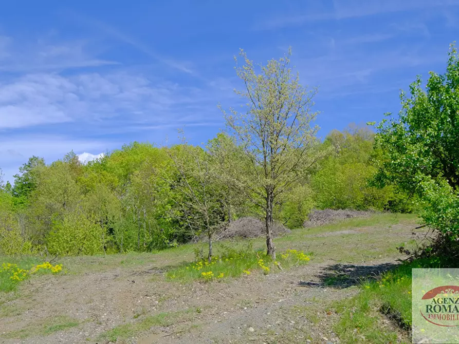 Immagine 15 di Rustico / casale in vendita  in Corso Bovio 2 a Giusvalla