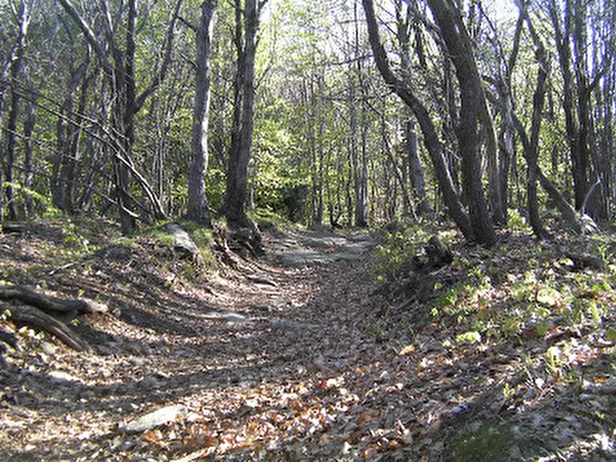 terreno agricolo in vendita a Sassello