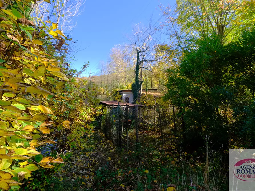 Immagine 12 di Casa indipendente in vendita  a Urbe