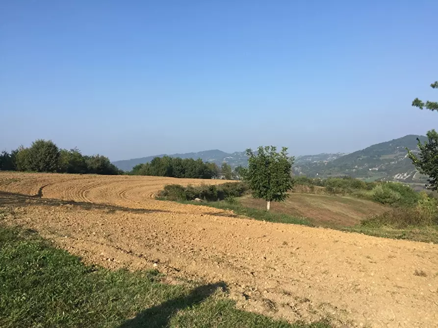 Immagine 23 di Porzione di casa in vendita  a Spigno Monferrato