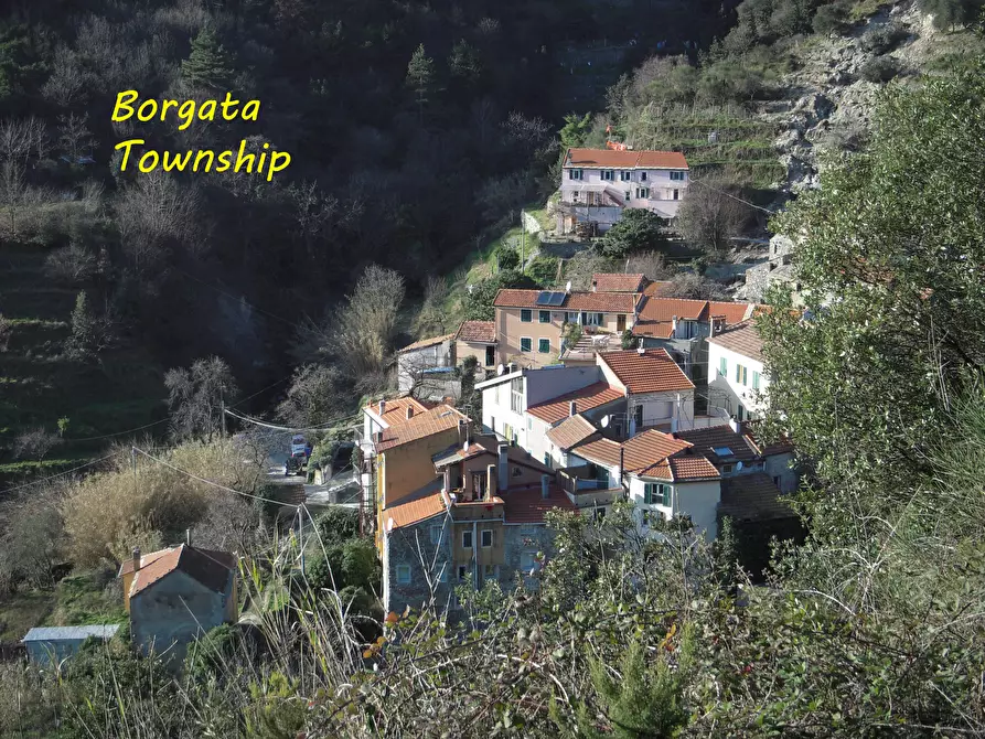 Immagine 16 di Terratetto in vendita  a Albisola Superiore