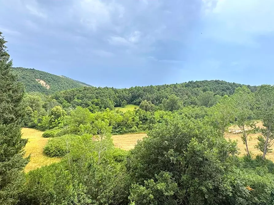 Immagine 52 di Rustico / casale in vendita  in SP216 6 a Pareto