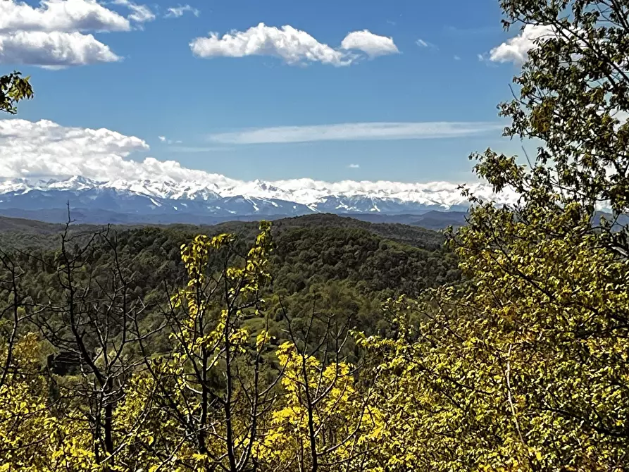 Immagine 3 di Rustico / casale in vendita  in Corso Bovio 2 a Giusvalla