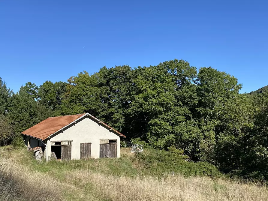 Immagine 3 di Casa indipendente in vendita  in Località Chiapuzzo 8 a Sassello