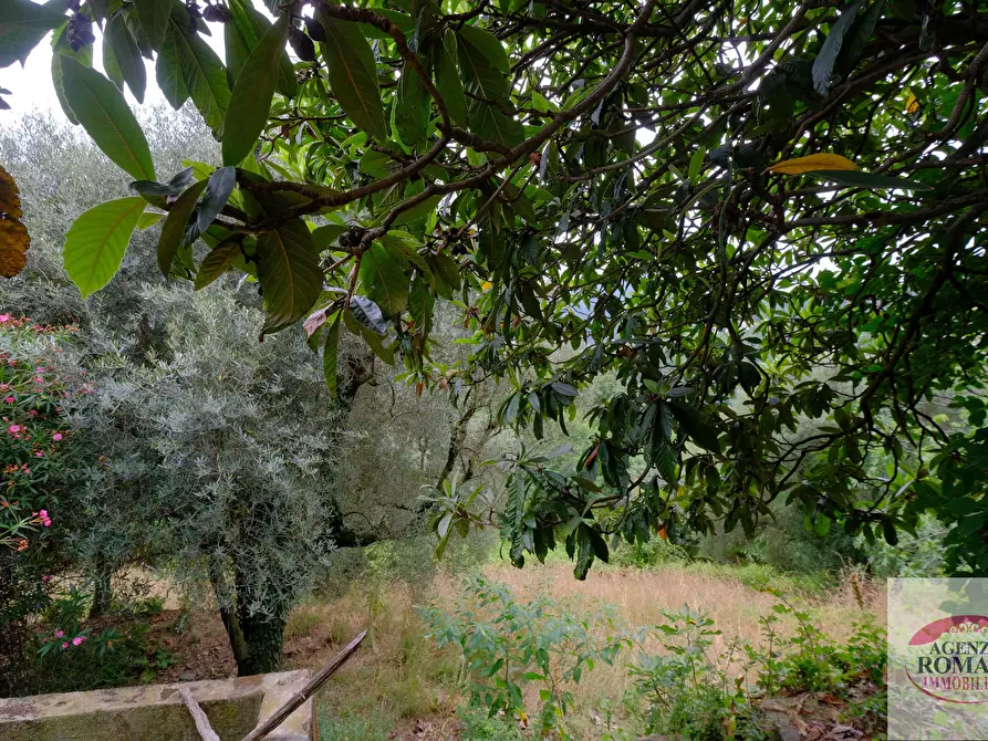 Immagine 27 di Rustico / casale in vendita  in Via Pero 112 a Varazze