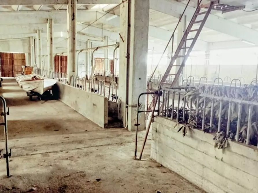 Immagine 45 di Casa indipendente in vendita  a Varazze