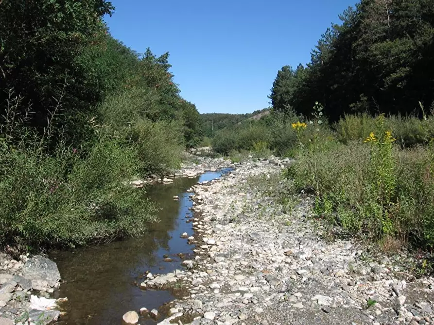 Immagine 14 di Appartamento in vendita  a Pontinvrea