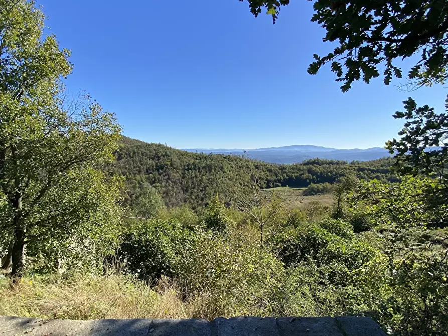 Immagine 30 di Terratetto in vendita  a Dego