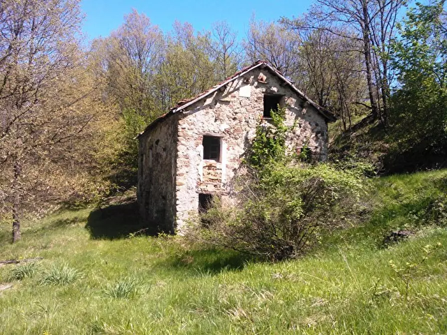 Immagine 5 di Rustico / casale in vendita  a Giusvalla