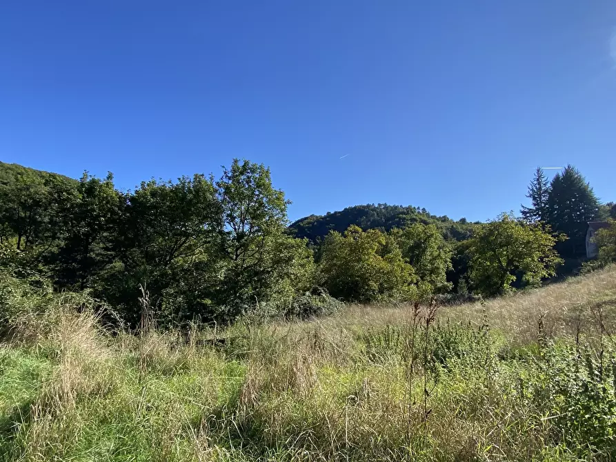 Immagine 23 di Casa indipendente in vendita  in Località Chiapuzzo 8 a Sassello